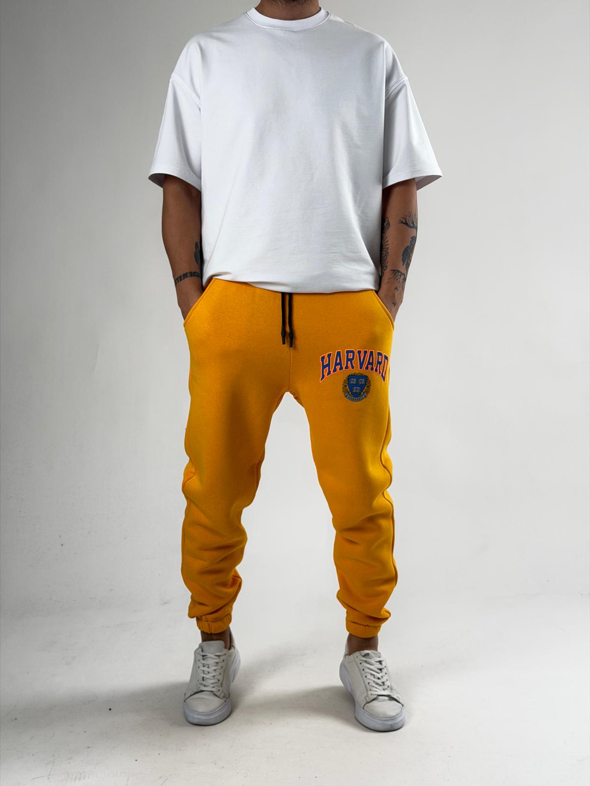 Collage Harvard Jogger Pantolon